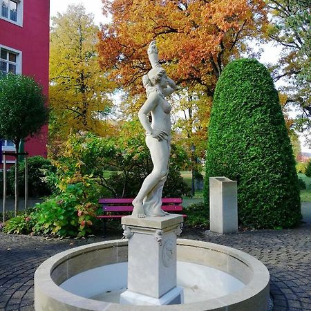 Parkhotel Bad Schandau Mit Spa Екстериор снимка